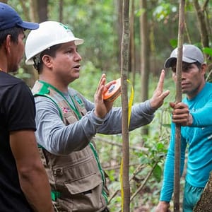 Asesoramiento Técnico y Capacitación