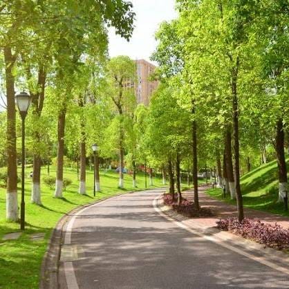Asesoramiento Manejo de Áreas Verdes Urbanas