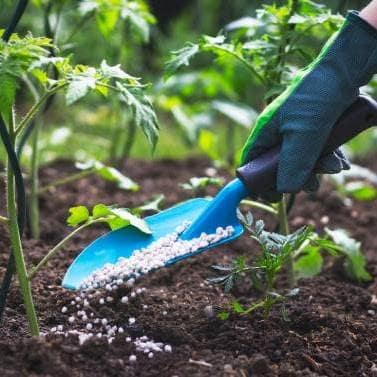 Fertilizantes y Abonos Orgánicos